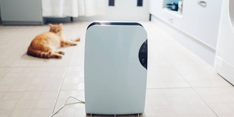 Best Air Purifier for cooking odors